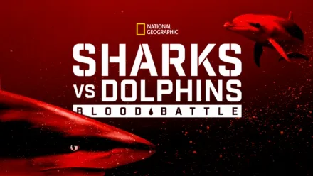 thumbnail - Dolphins vs Sharks: Blood Battle
