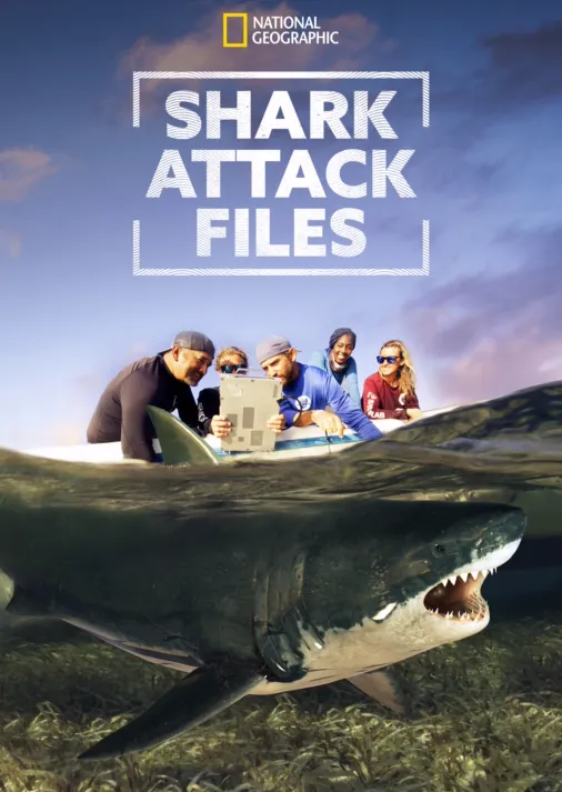 Watch When Sharks Attack