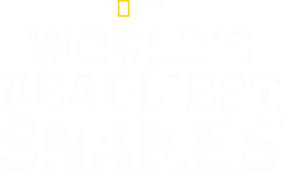 World's Deadliest Snakes