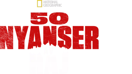 50 nyanser av haj