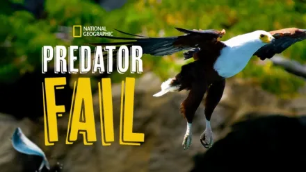 thumbnail - Epic Predator Fails