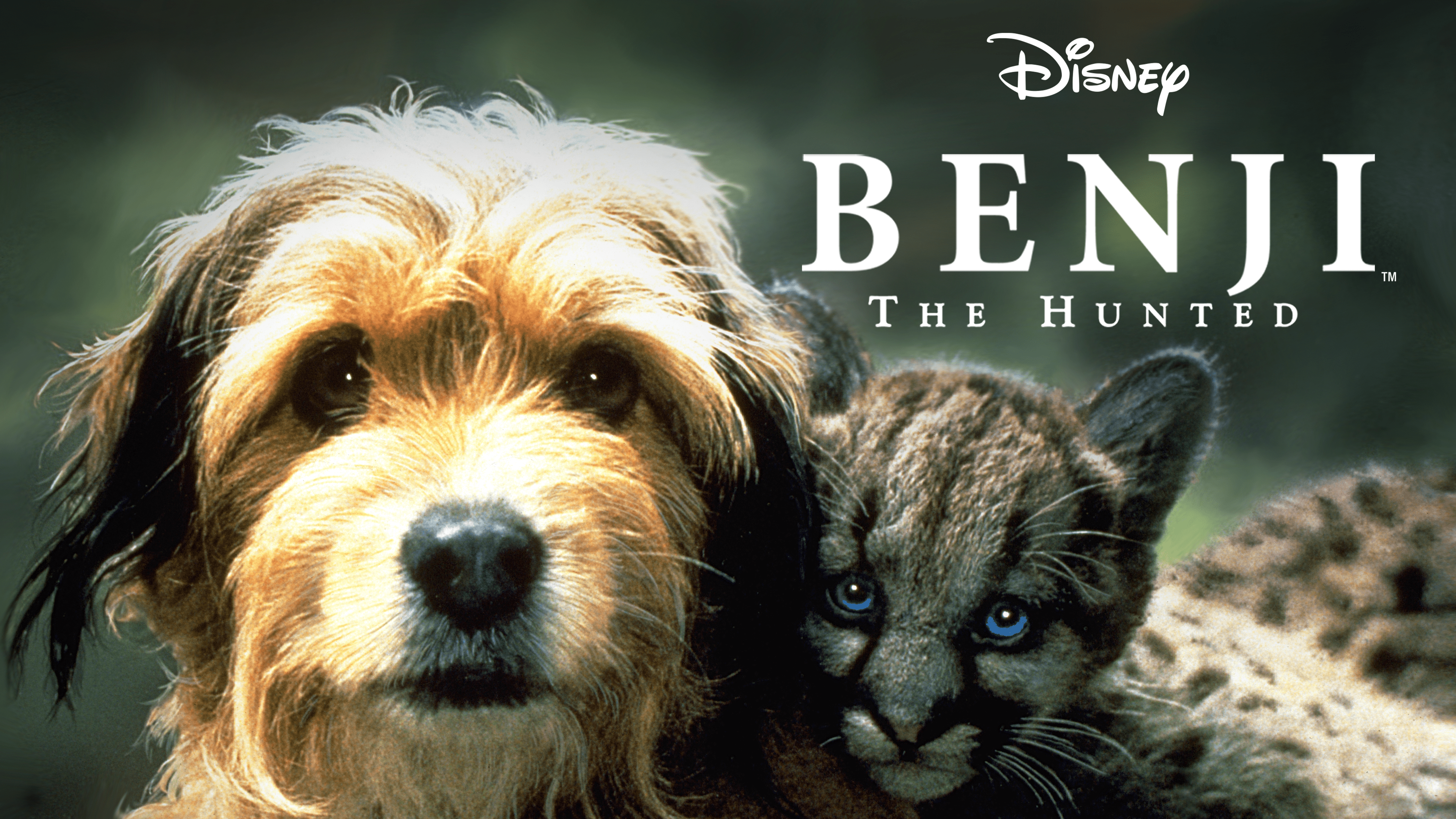 benji disney