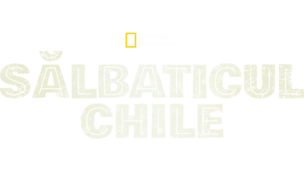 Sălbaticul Chile