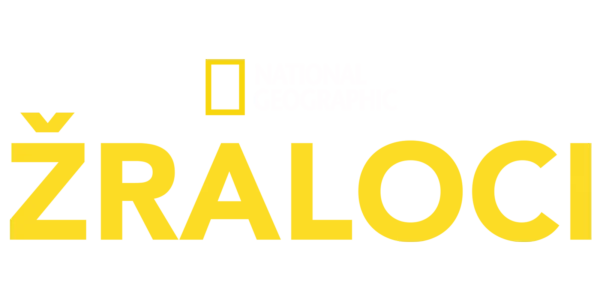 National Geographic Žraloci Title Art Image