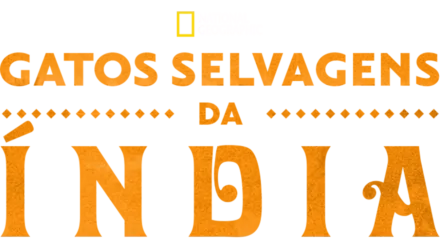 Gatos Selvagens da Índia