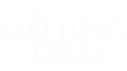 Cel mai lung drum