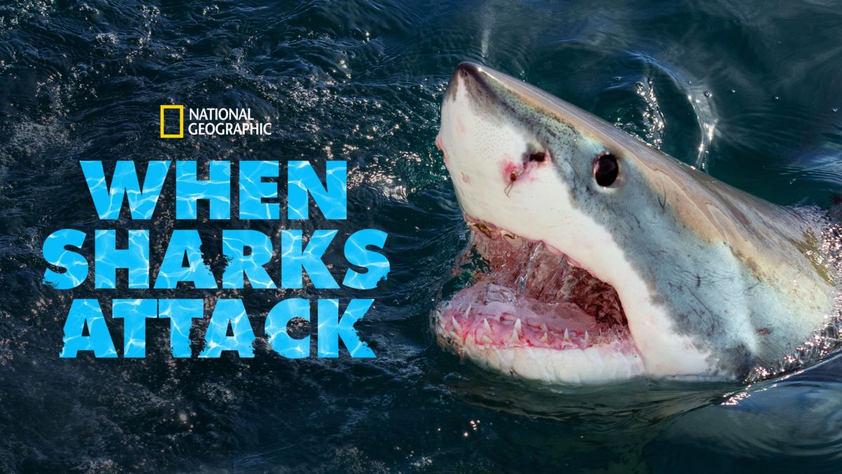 Watch When Sharks Attack Full episodes Disney+