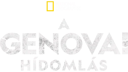 A genovai hídomlás