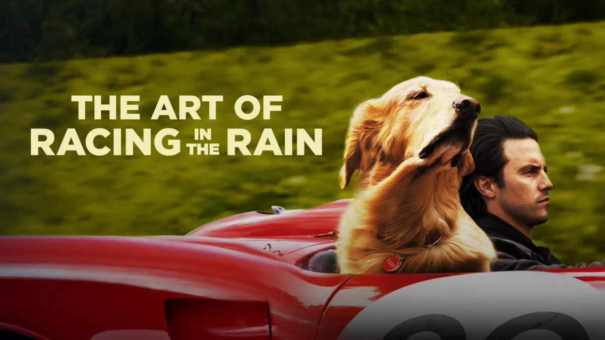 The art of racing in outlet the rain movie