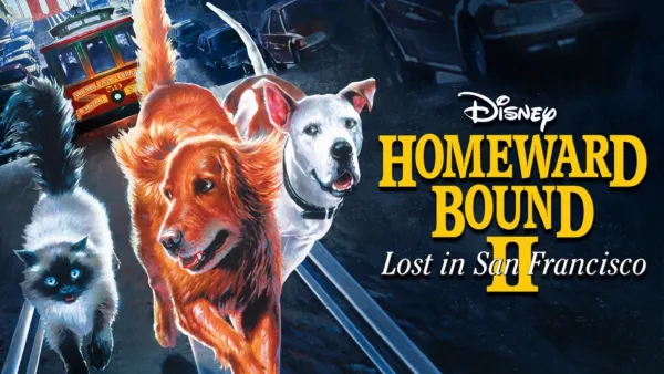 Homeward bound the discount incredible journey 123movies