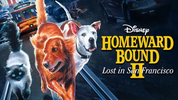 thumbnail - Homeward Bound II: Lost in San Francisco