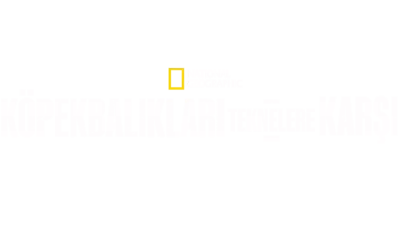 Köpekbalıkları Teknelere Karşı