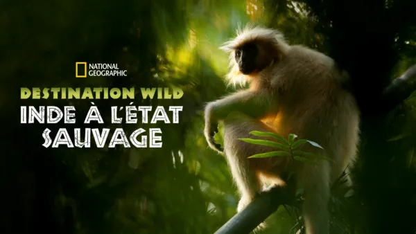 thumbnail - Destination Wild : Inde à l'état sauvage