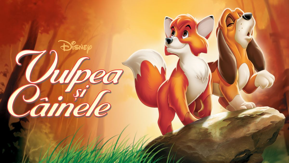 Vulpea Si Cainele Vizionează Vulpea și Câinele | Film integral | Disney+