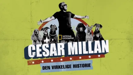 thumbnail - Cesar Millan: Den virkelige historie