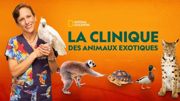 thumbnail - La clinique des animaux exotiques