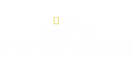 Sekretne życie słoni