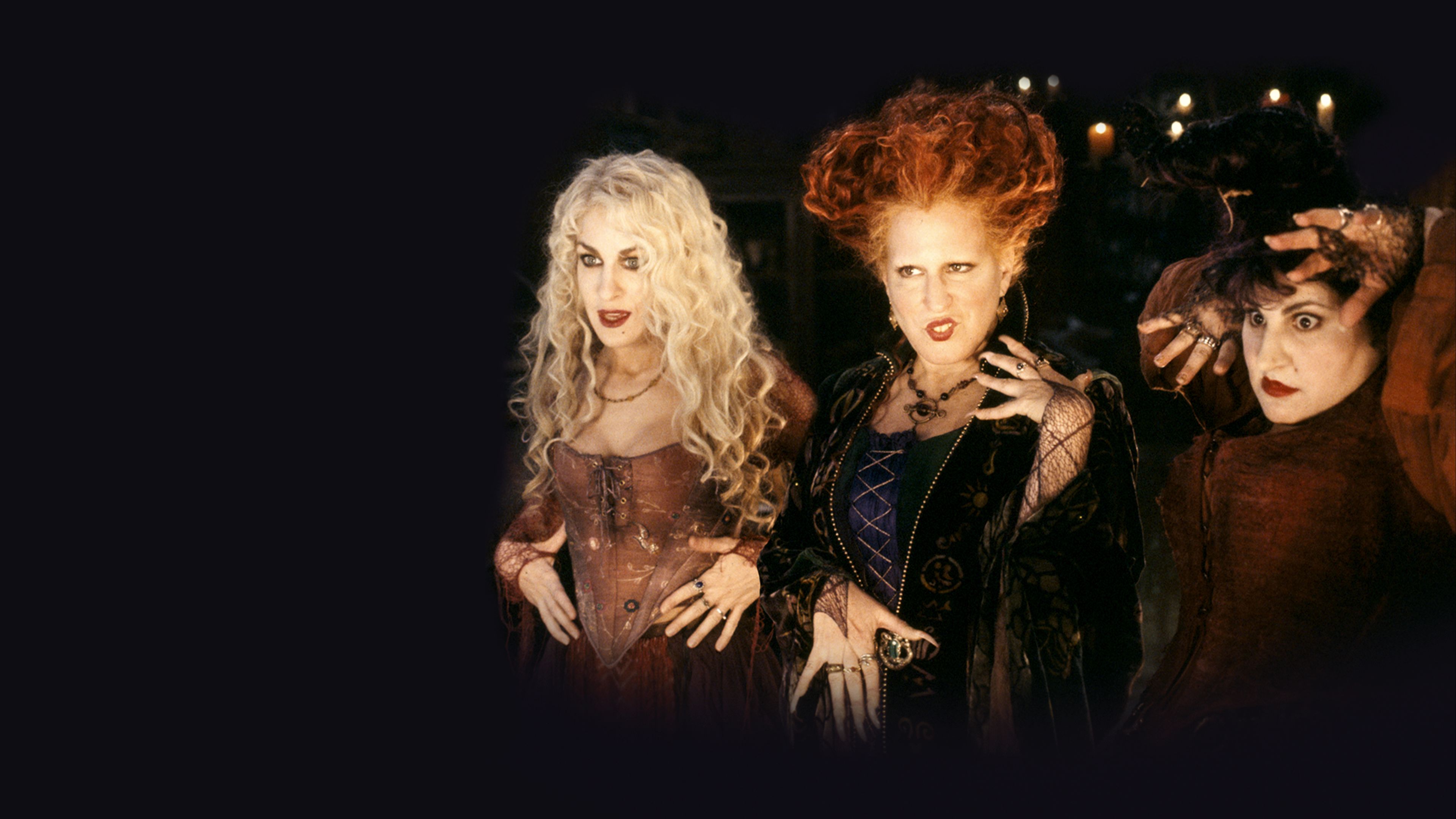 Hocus Pocus A Partir De Quel Age Disney+ #003 – la semaine du tout et n’importe quoi – MY DISNEY KINGDOM