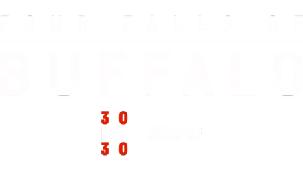 Four Falls of Buffalo