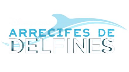 Arrecifes De Delfines