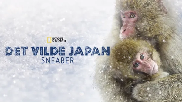 thumbnail - Det vilde Japan: Sneaber