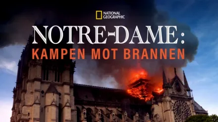 thumbnail - Notre-Dame: Kampen mot brannen