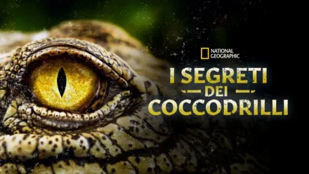 thumbnail - I segreti dei coccodrilli