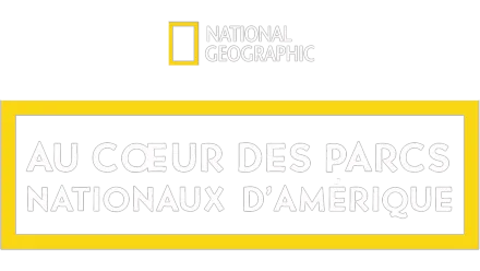 Au cœur des parcs nationaux d'Amérique