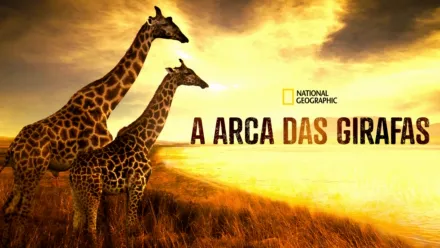 thumbnail - A Arca das Girafas