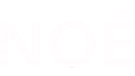 Noé