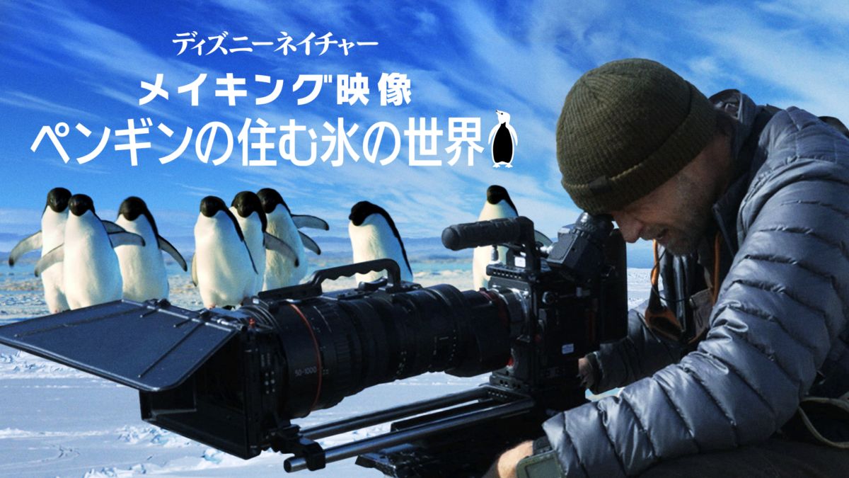 メイキング映像 ペンギンの住む氷の世界 を視聴 全編 Disney ディズニープラス