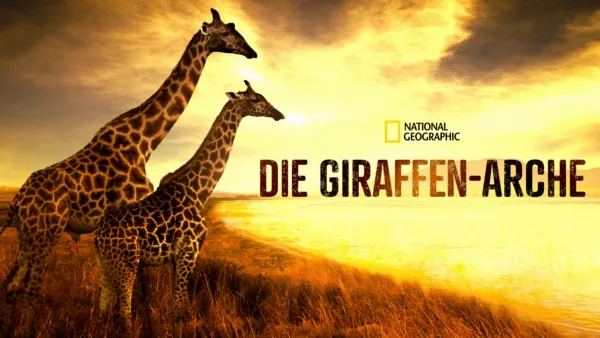 thumbnail - Die Giraffen-Arche