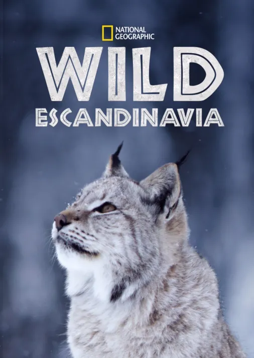 Ver Wild Escandinavia | Disney+