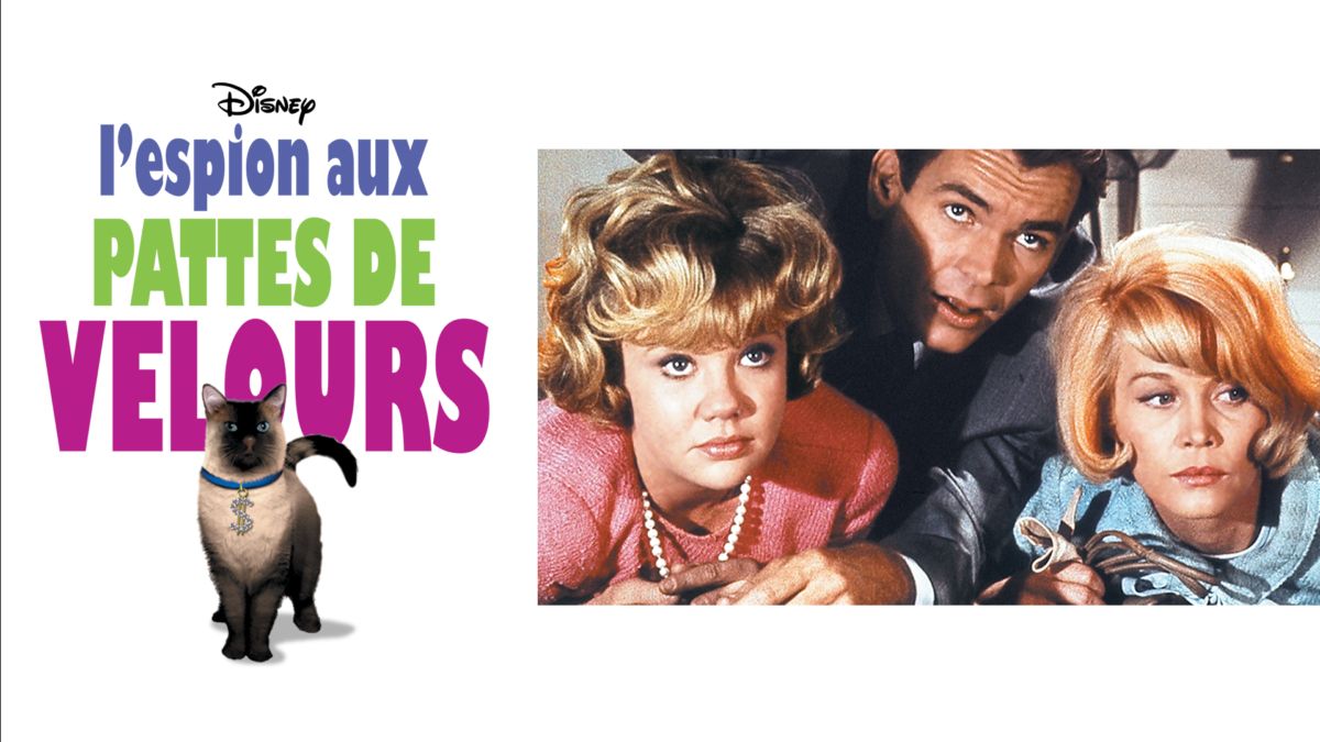 Le Nouvel Espion Aux Pattes De Velours Regarder L'Espion aux pattes de velours | Film complet | Disney+