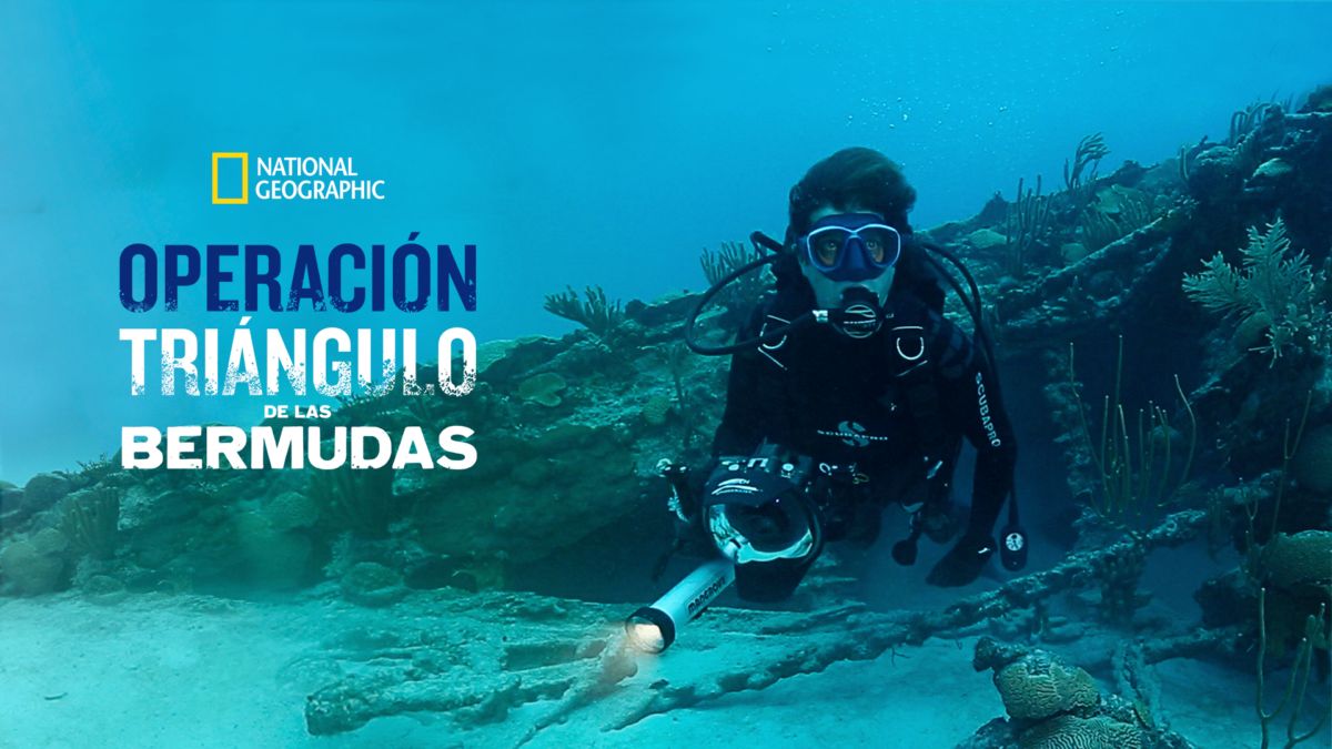 Ver Operación Triángulo de las Bermudas Película