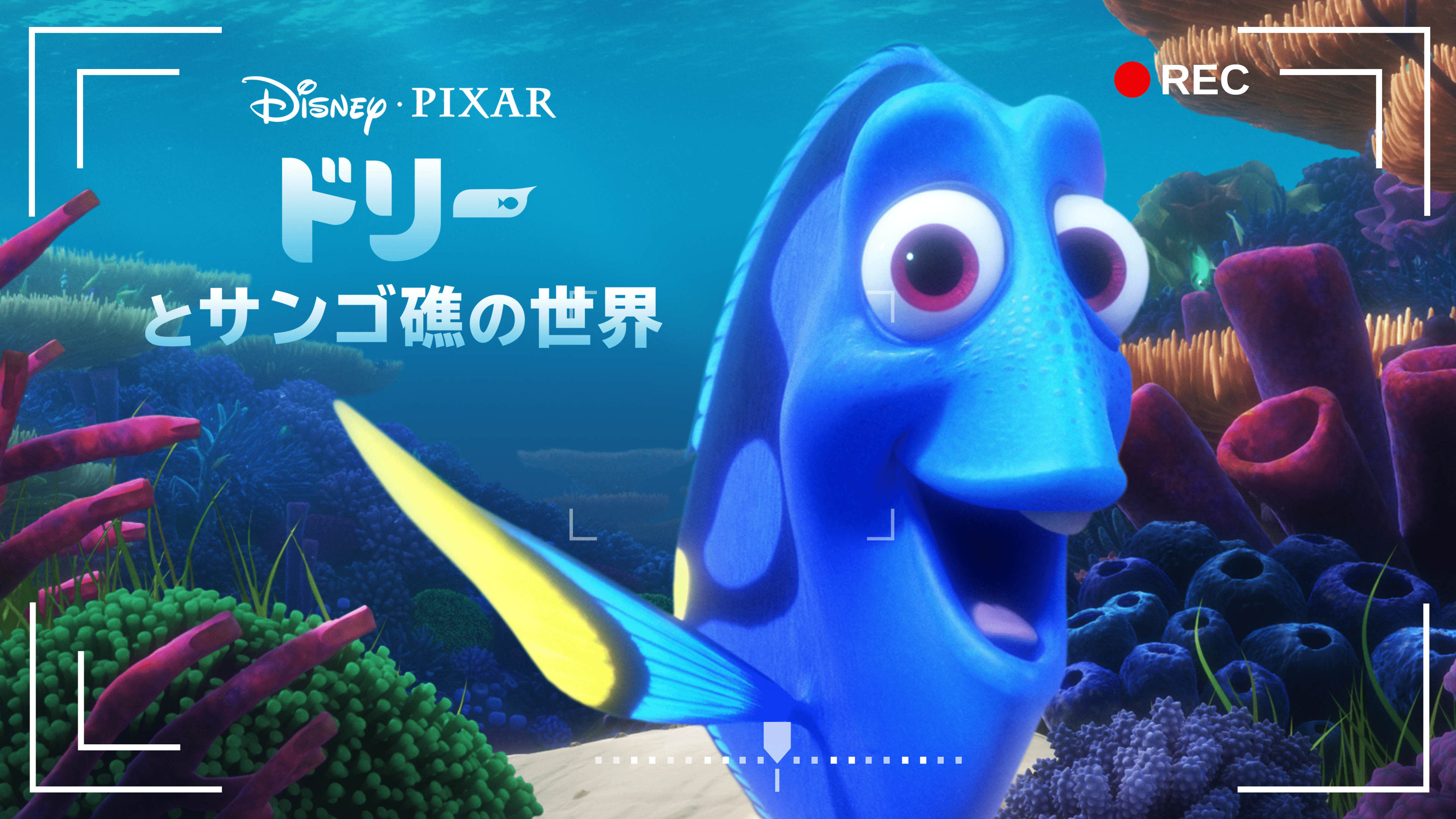 ドリーと珊瑚礁の世界