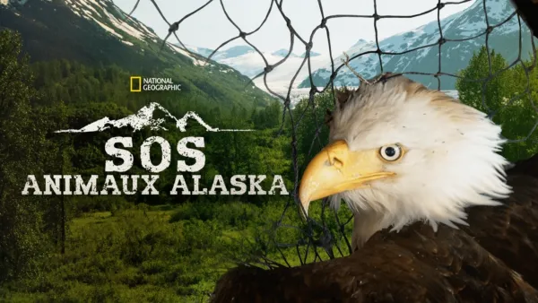 thumbnail - Alaska Animal Rescue