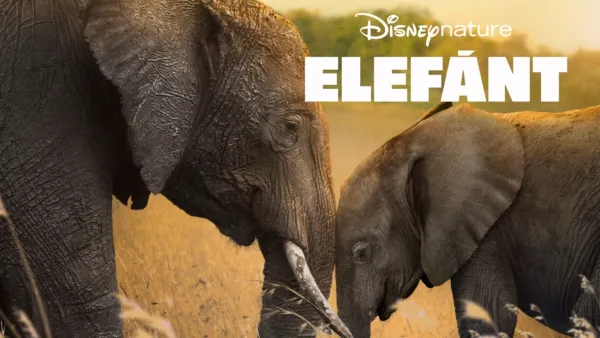 thumbnail - Elefánt