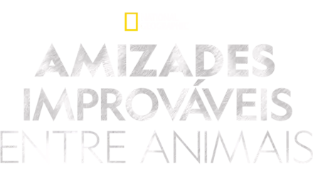 Amizades improváveis entre animais