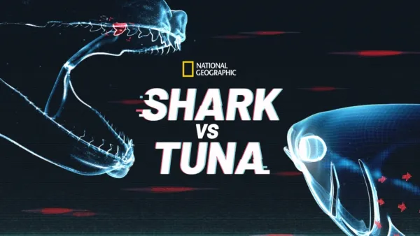 thumbnail - Shark vs. Tuna