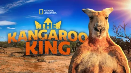 thumbnail - The Kangaroo King