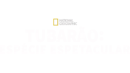 Tubarão: Espécie Espetacular