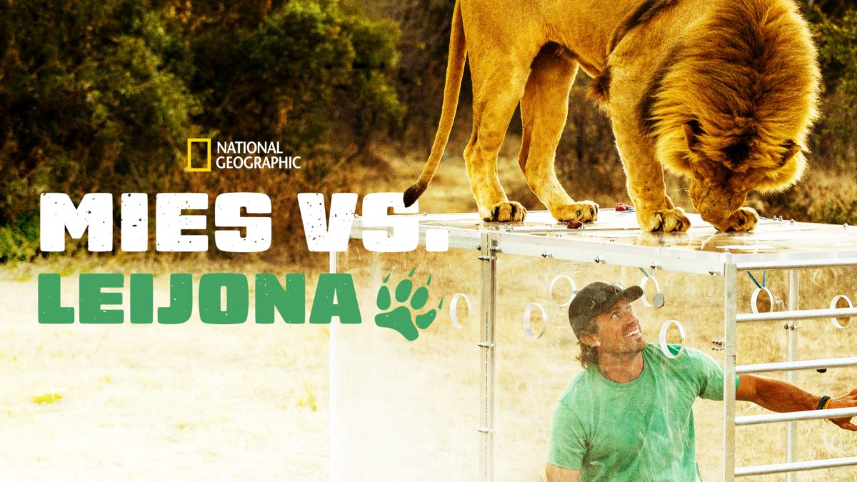Mies vs. leijona | Disney+