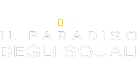 Il paradiso degli squali