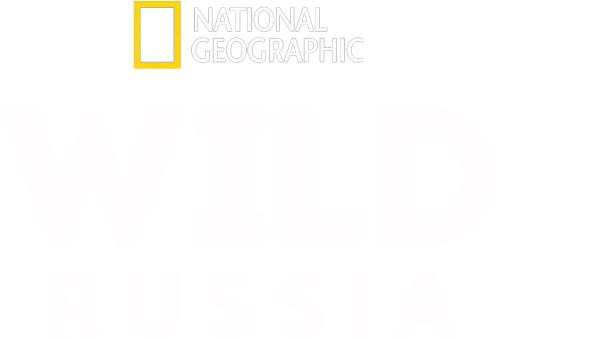 Wild Russia