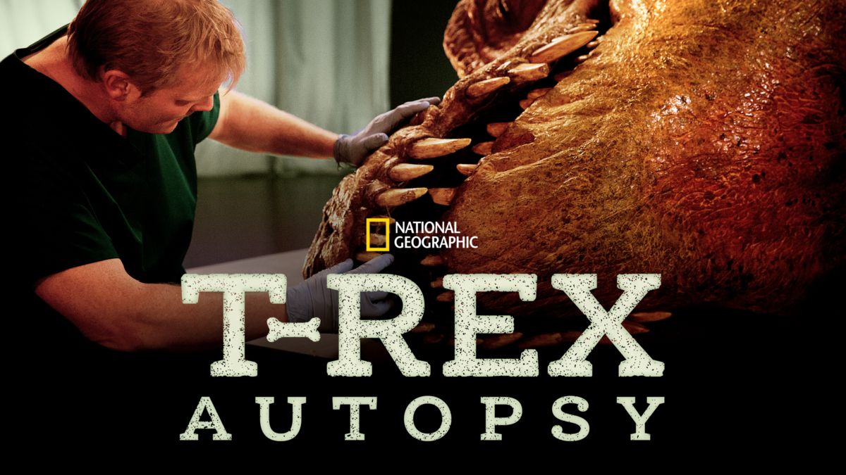 Проект динозавр t rex autopsy