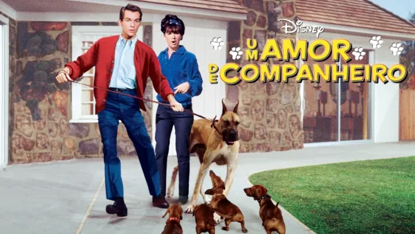 thumbnail - Um Amor de Companheiro