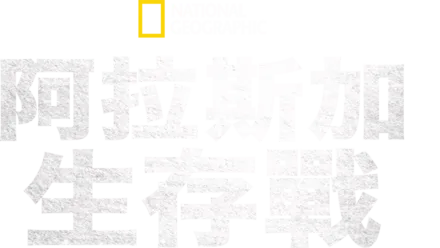 阿拉斯加生存戰