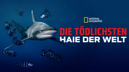 thumbnail - Die tödlichsten Haie der Welt