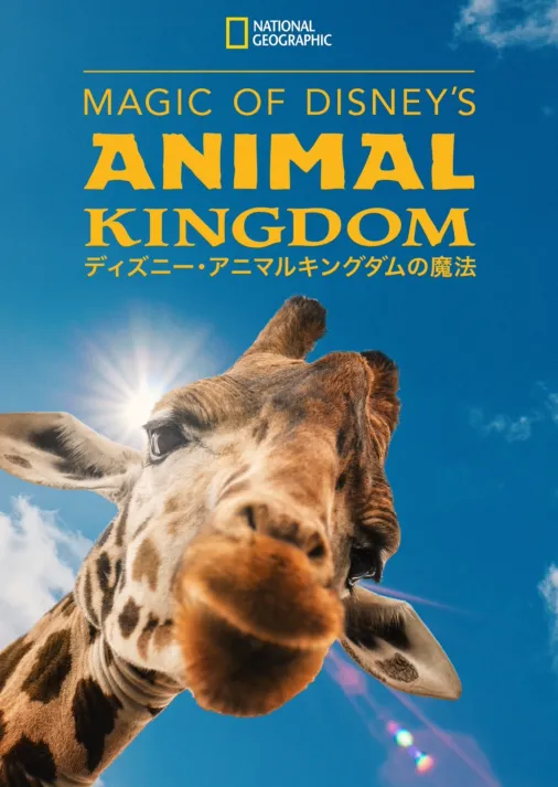 Magic of Disney's Animal Kingdom ディズニー・アニマルキングダムの ...